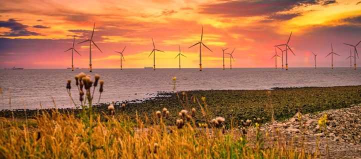 Environmental News Mailer