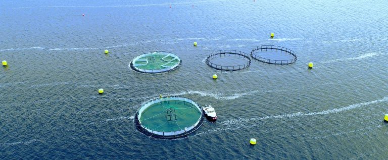 IMPAQT_AQUACULTURE