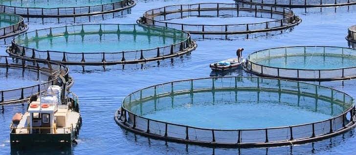 Aquaculture