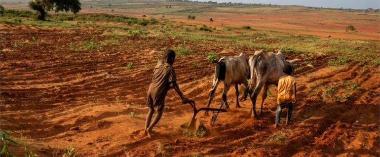 Climate_Change_Madagascar_BBC