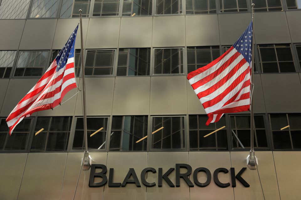 Emerging markets need $1 trln a year to get to net zero – BlackRock